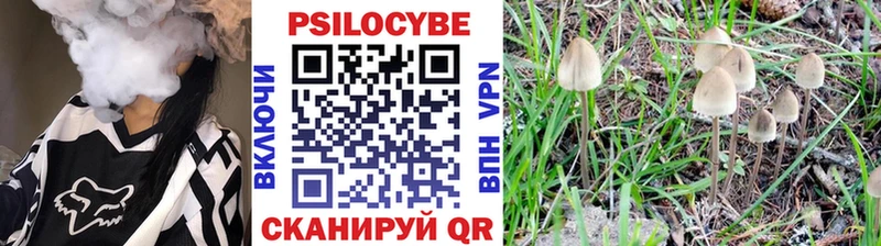 Псилоцибиновые грибы мицелий где можно купить наркотик Мыски